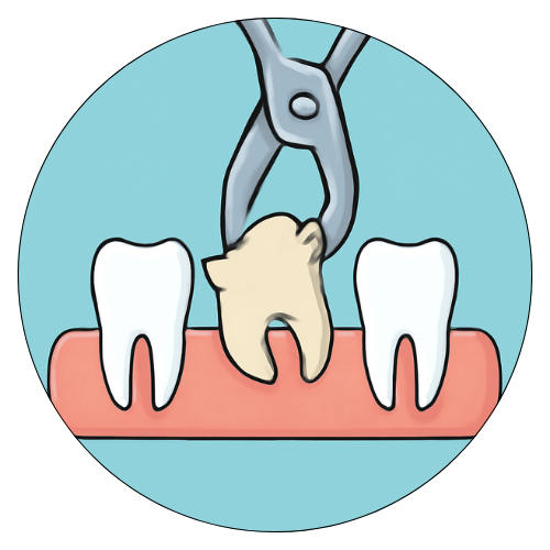 Surgical Extractions Icon